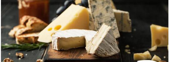 今月のおすすめ